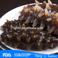 HL011 frozen sea cucumber supplier